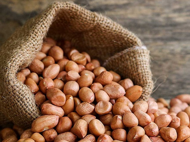 SINGH DANA 1/2 kg